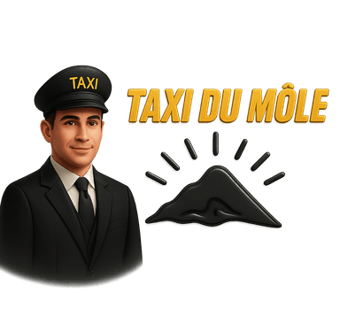 Logo Taxi Du Môle