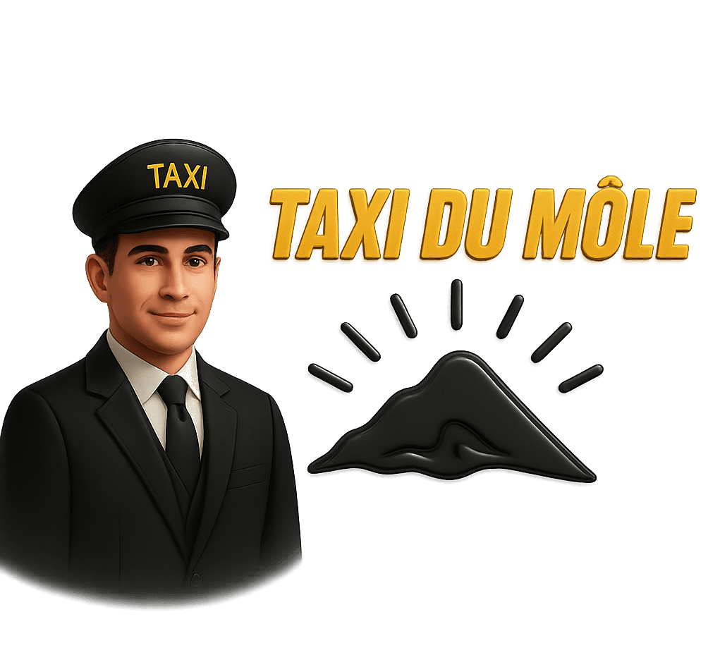 Logo Taxi du Môle